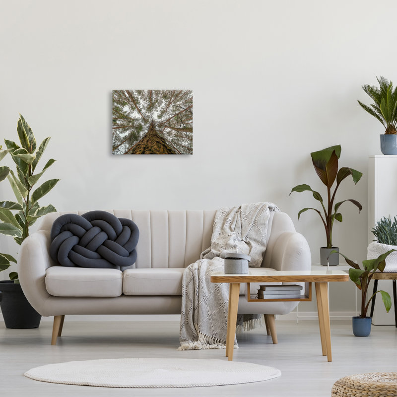 Looming Tree Branches Overhead Wrapped Canvas Wall Art