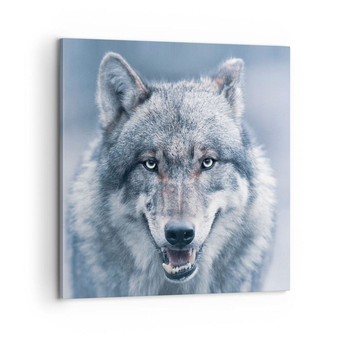 Leinwandbild Wolf Predator Wildness