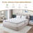 10'' Medium Memory Foam Mattress-70795560