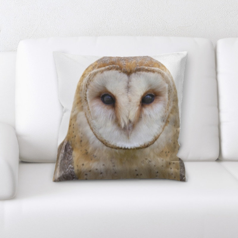 Poitra Microsuede Throw Pillow