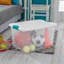 Sterilite Crate