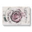 A Pale Pink Rose - Wrapped Canvas-56657529