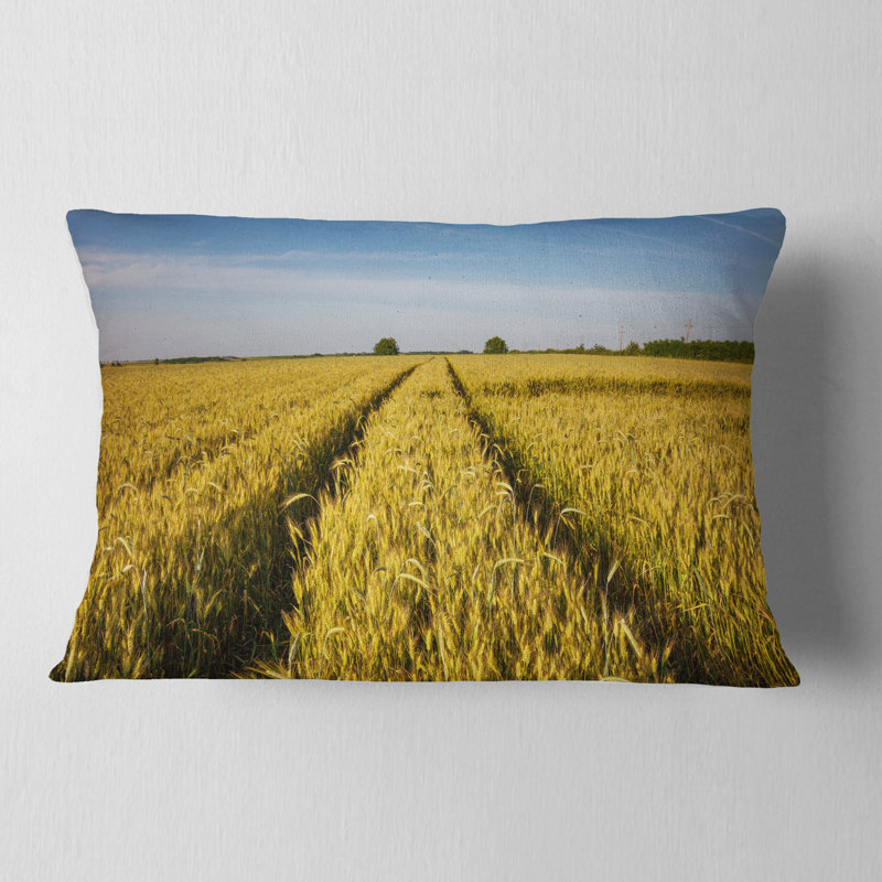 Coussin lombaire Schafer