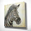 " Patterned Zebra "-35569822-35569821