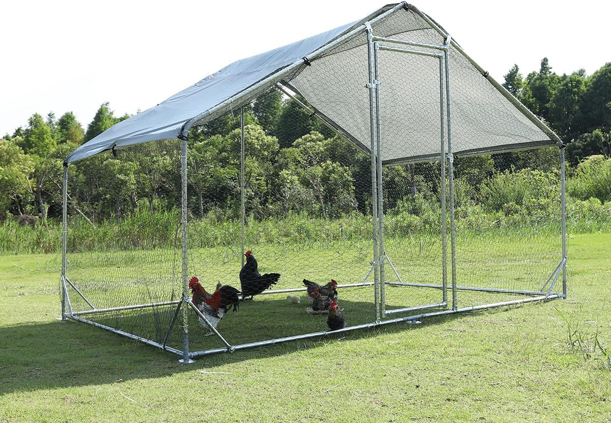 Tucker Murphy Pet™ Desery Chicken Coop with Chicken Run | Wayfair