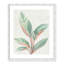 Gingembre II - reproduction d'art-55541997-55542023