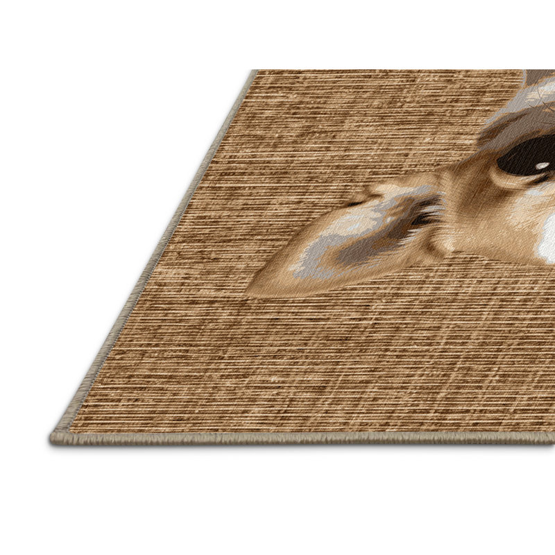  Tapis lavable Chihuahua Dogs, Rond 4 pi