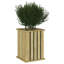 Planter Box-1813339562