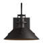 Henry 1 - Bulb Outdoor Barn Light-20448667-93375008