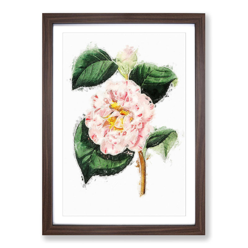 Pink Camellia Flowers - Picture Frame Painting Print, 36cm H x 27cm W x 2cm D, Walnut Framed