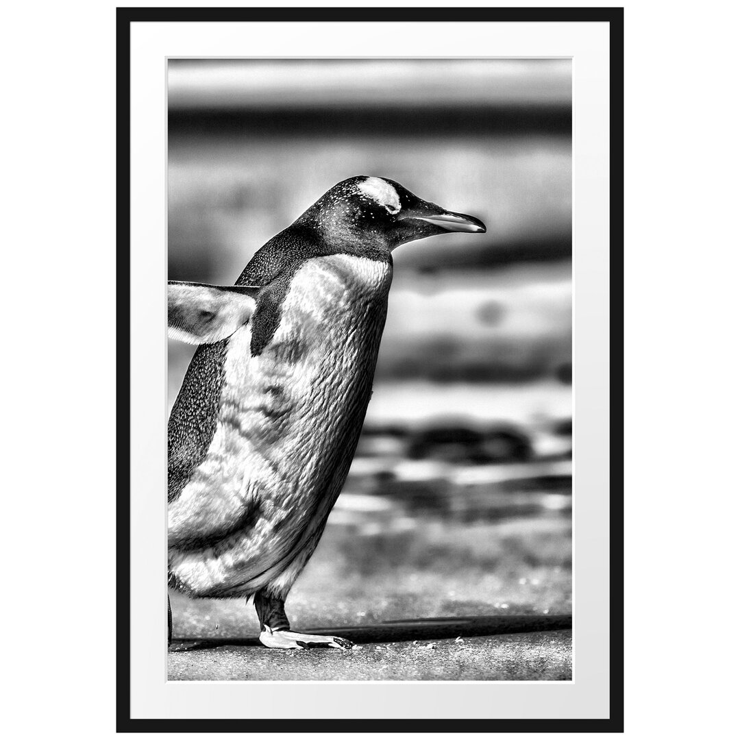 Gerahmtes Poster Pinguin am Strand