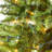 606'' String Lights-31889549