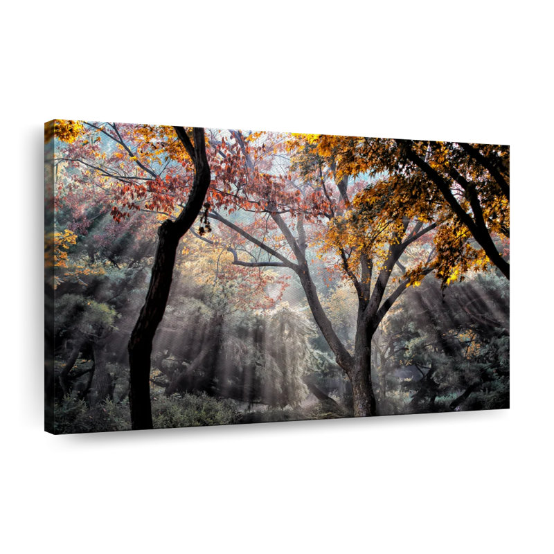 Impression sur toile Forest Sun Rays, H 30 po x l 45 po x P 1,25 po