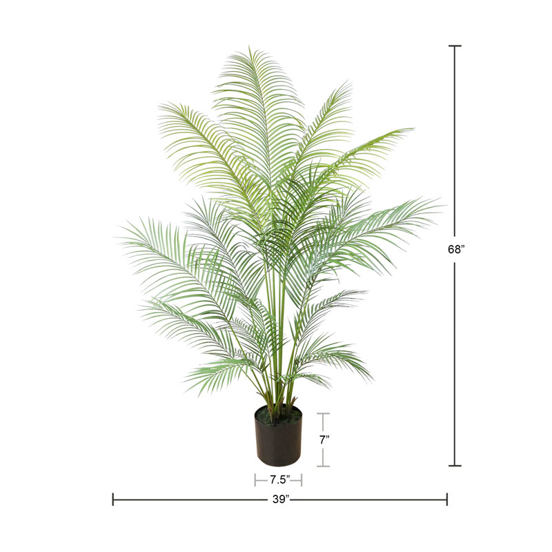 Outdoor UV Rated Kentia Palm Drop-In