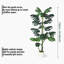 29.53cm Plant