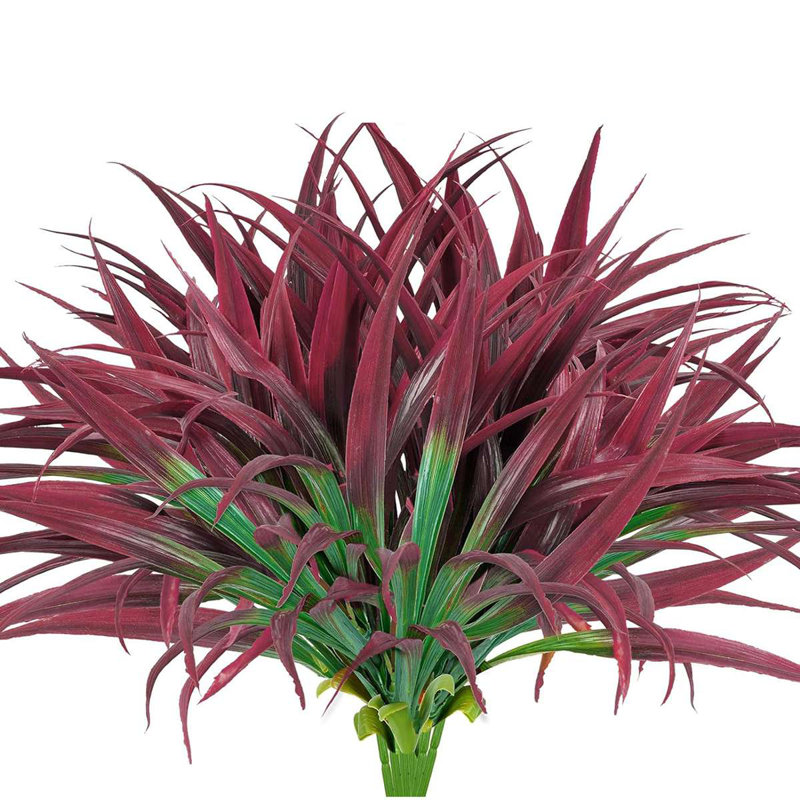 16,9 plante, Rouge