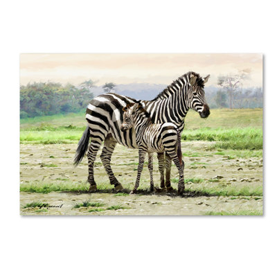 «Zebra» par Armand, reproduction sur toile
