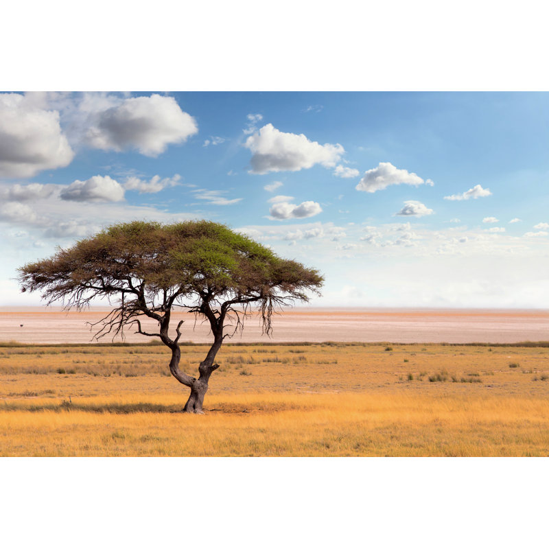 " Acacia Tree " by Artush, 8" H x 12" W  