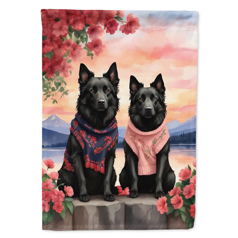Double Sided 40'' H x 28'' W Polyester Valentine's Day House Flag