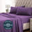 Microfiber Percale Sheet Set-562904242-538438312