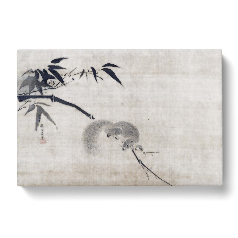 Squirrel On A Bamboo by Kano Tan'yu - Wrapped Canvas Painting, 40cm H x 60cm W x 3cm D