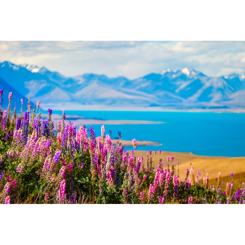 Lac Amiel Tekapo, H 8 po x l 12 po