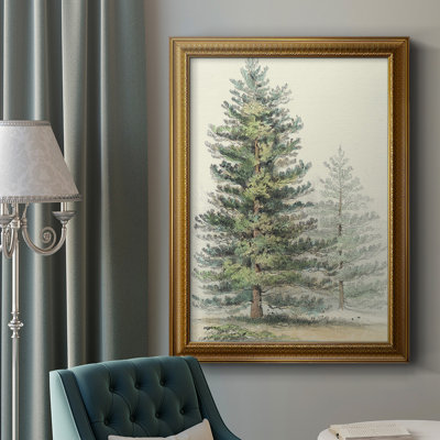 " Majestic Pine I Premium "