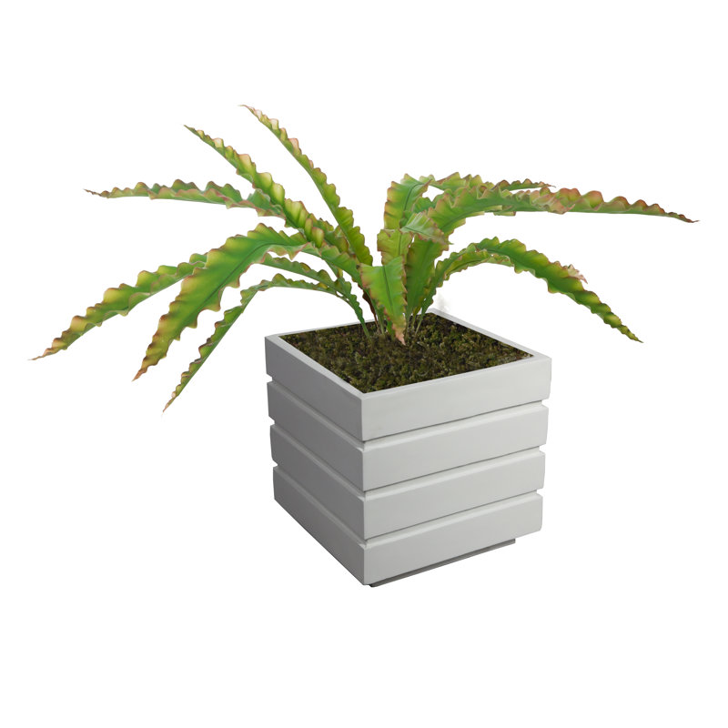 Plante grasse artificielle Bragdon en pot