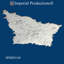 Médaillon de plafond