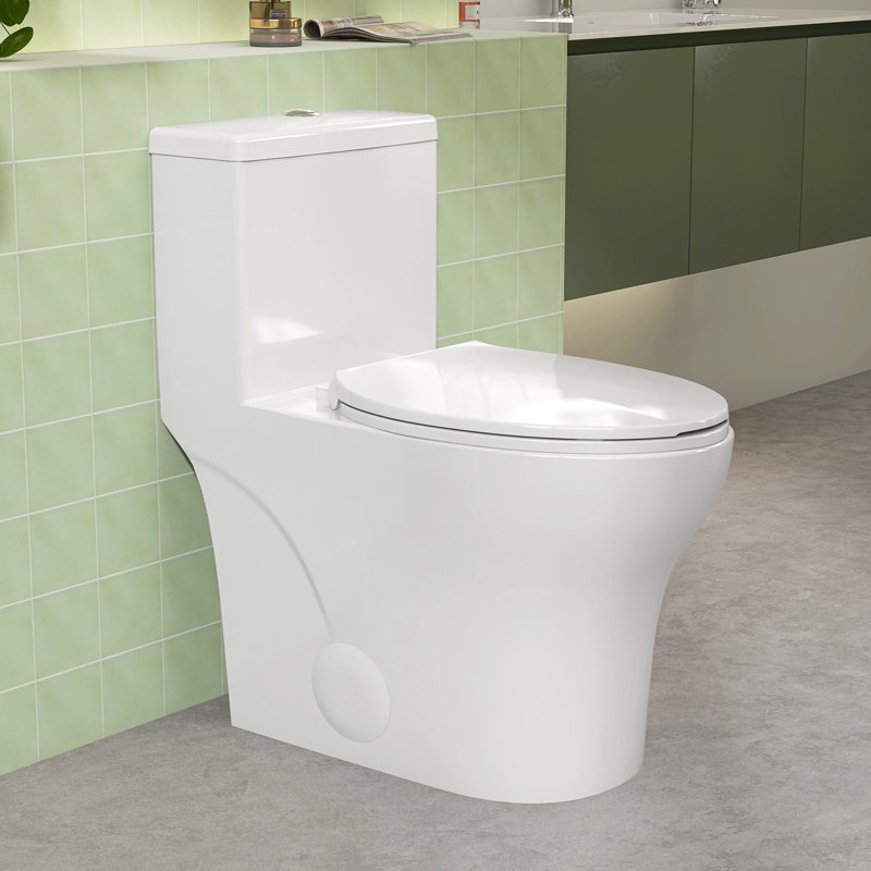 Toilette monobloc 19 po en céramique à double chasse avec siège confortable et hauteur d'assise conforme à l'ADA 19 po