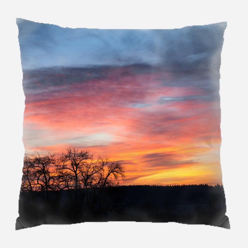 Reversible Throw Pillow, Microsuede, Indoor