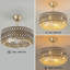 Ventilateur de plafond en cristal 20 "avec lumières et télécommande, réglable en hauteur pour le salon de la chambre à coucher-133683195-135789978
