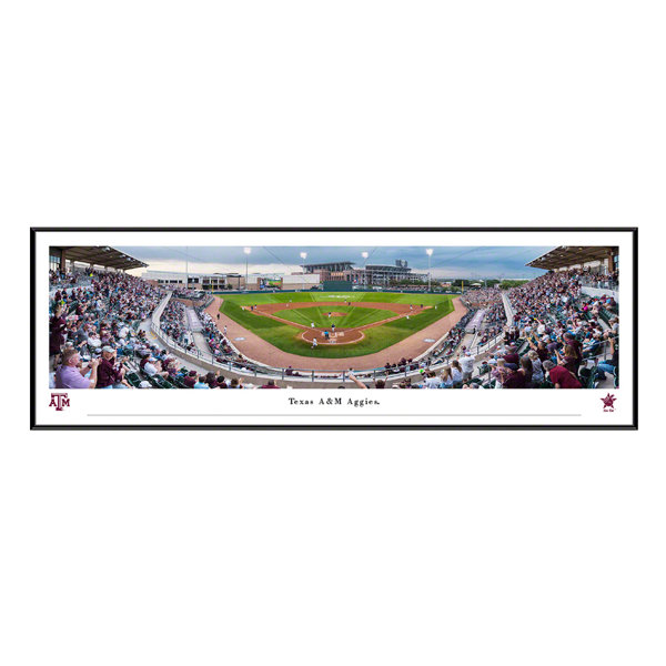 Texas Rangers Framed 5 x 7 Stadium Collage with a Piece of Game