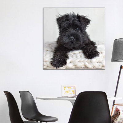 Neddy 1 Piece Wall Art on Canvas