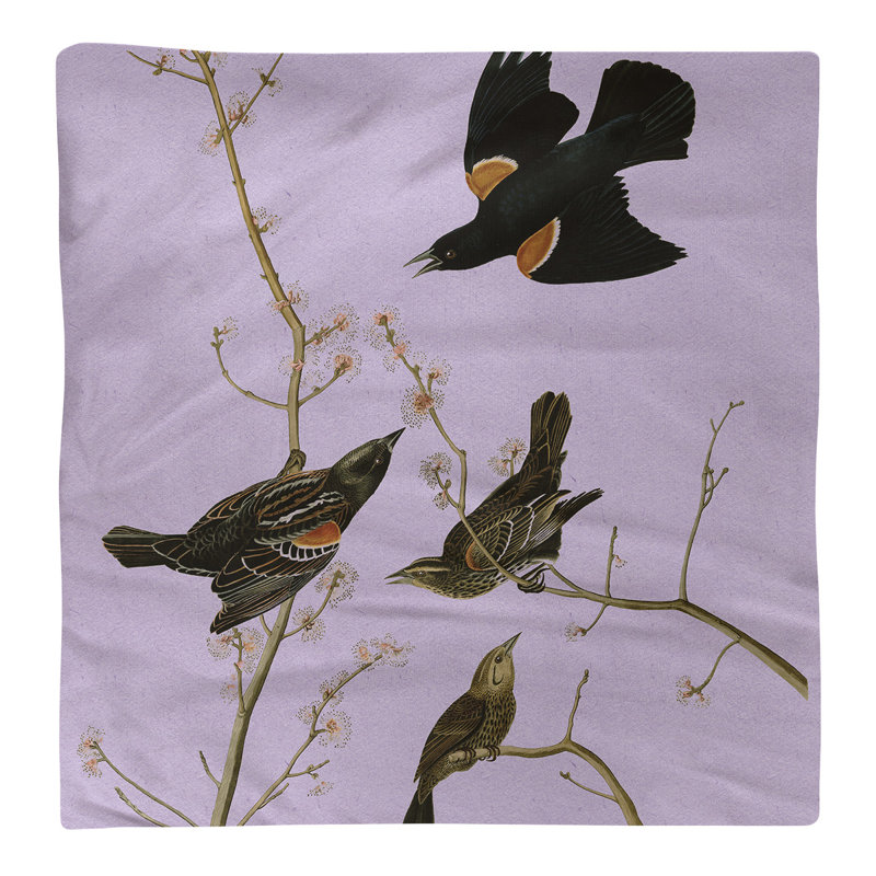 John James Audubon Square Napkin, Purple