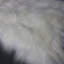 Kearney Sheepskin Area Rug-36342617