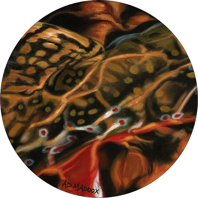 Toslon Abstract Indoor Rug, Round 7'7"
