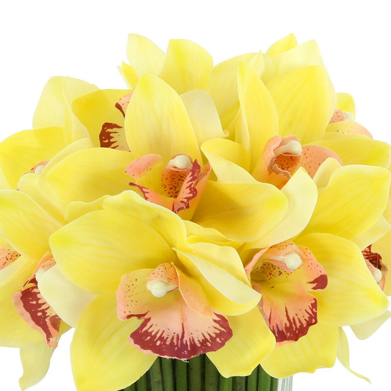 Orchid in Flat Glass Vase, Yellow