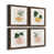 Brown Framed