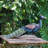 Hartline Weather Resistant Metal Garden Statue