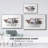 " Modern Longhorns II "-92473289-92473291