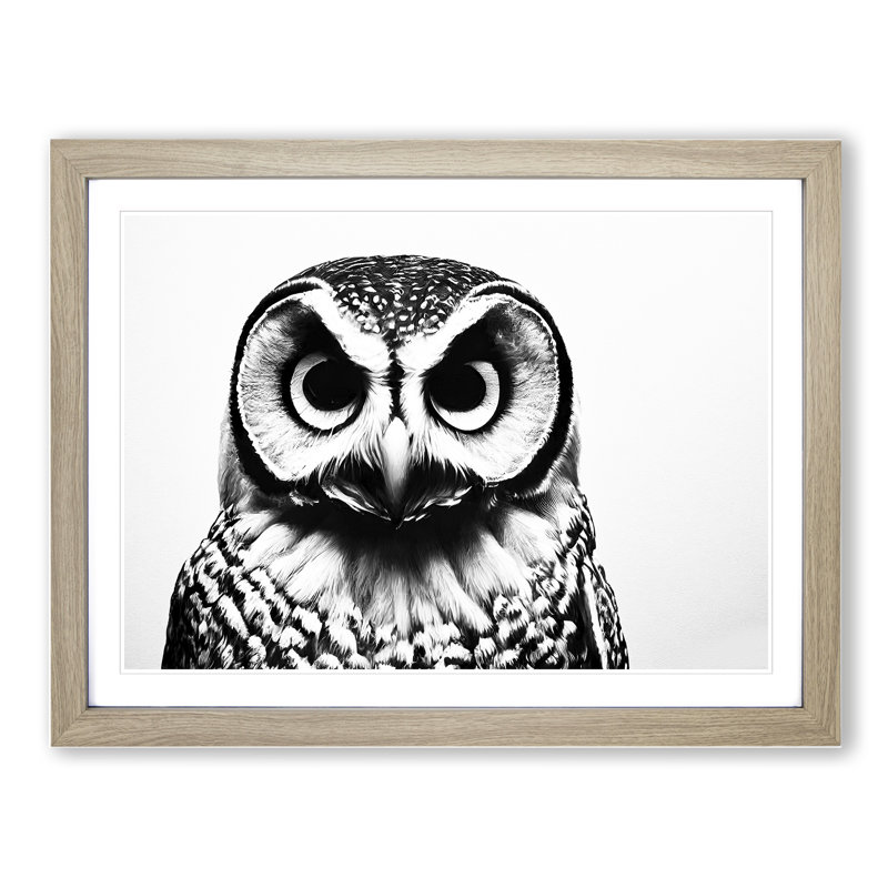 Barn Owl Monochrome - Single Picture Frame Painting, 25cm H x 34cm W x 2cm D, Oak