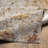 Mckeehan Abstract Indoor Rug-1871087320