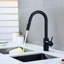 Contemporary Pull Down Single Handle Kitchen Faucet with Accessories-47445095
