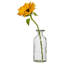 Fazeley Glass Table Vase