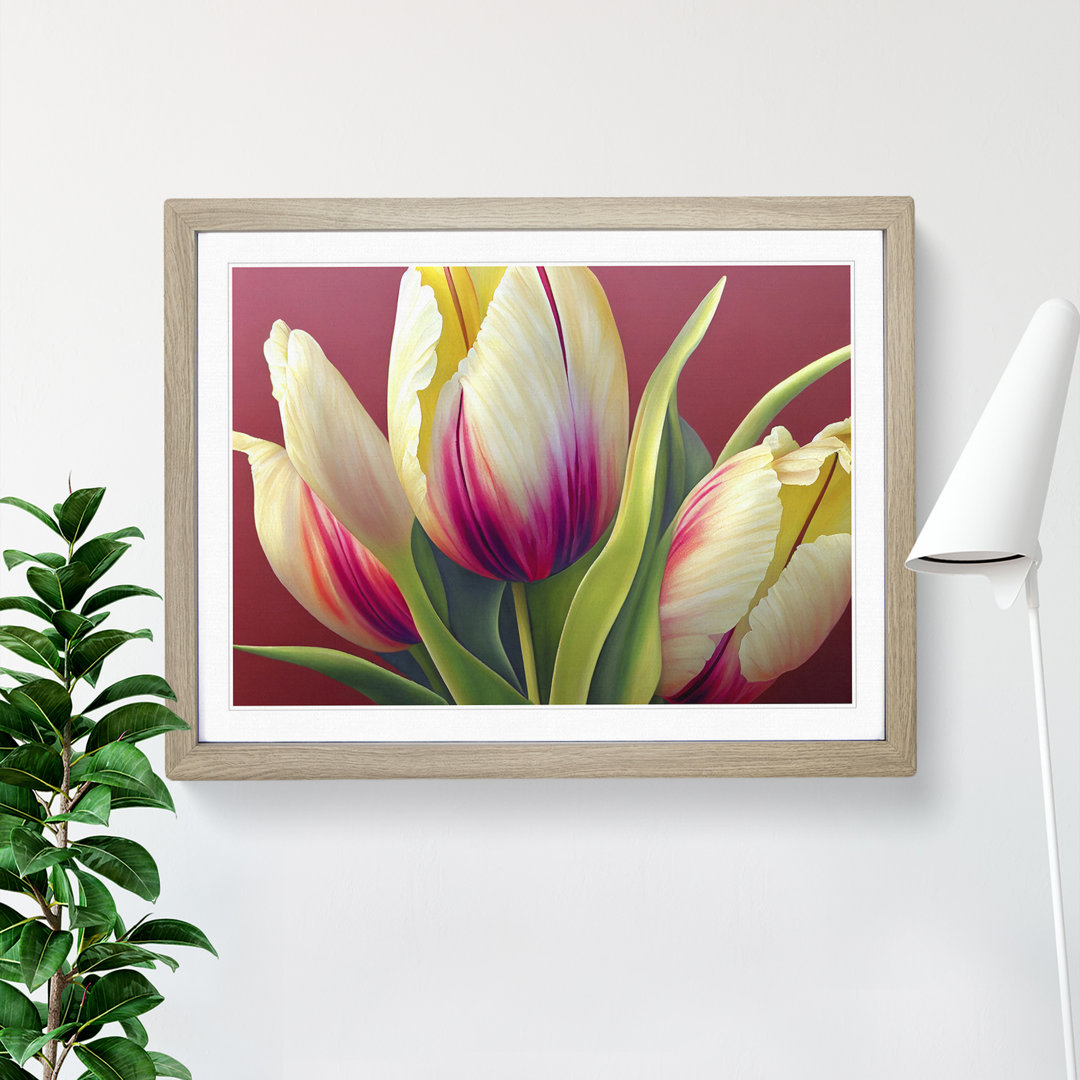 Dazzling Tulip Flowers - Single Picture Frame Print