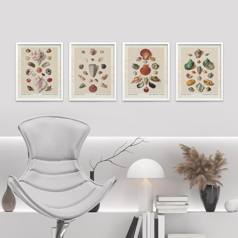«Old-World Shell Collection», impression thématique maritime encadrée sur papier, 4 pièces, H 16 po x l 12 po, Blanc