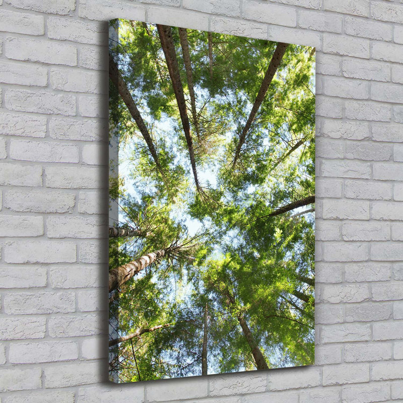 Crown Of Trees - Wrapped Canvas Print