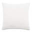 Belize Trellis Euro Sham