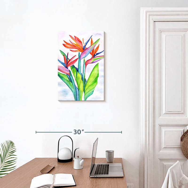 Strelitzias Harnek, H 24 po x l 16 po